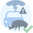 Extrema la precaución en condiciones adversas y ante la presencia ocasional de animales o vehículos a motor.